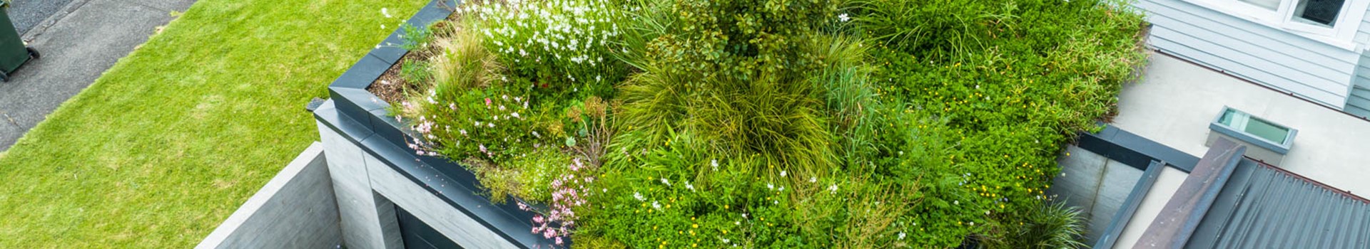 'Bare' Wasn't an Option. Roof Garden to the Rescue