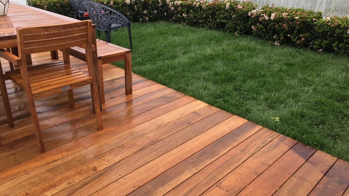 Harnessing the potential of Roof Gardens