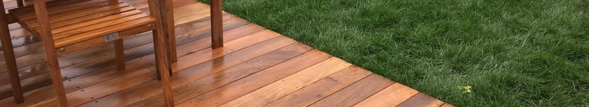 Harnessing the potential of Roof Gardens