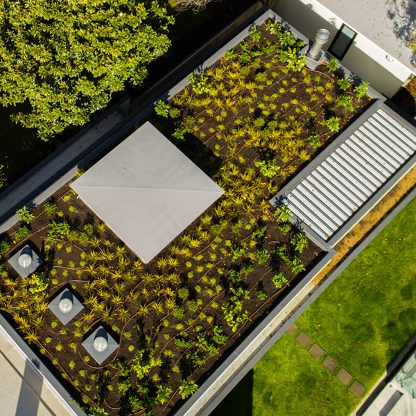 Thumb Roofgarden1 Compressed (1)