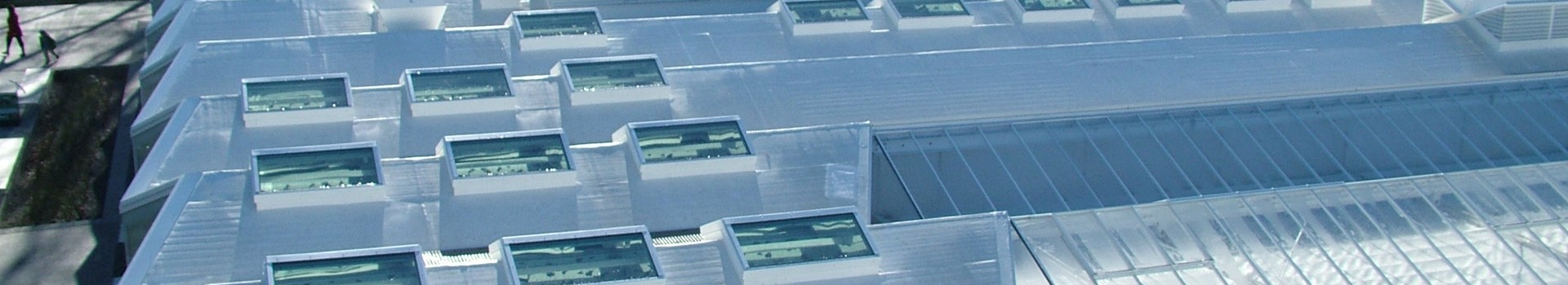 Christchurch Botanical Gardens