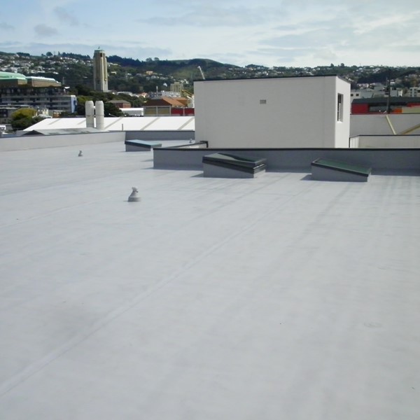 21 Hania St Wellington 2