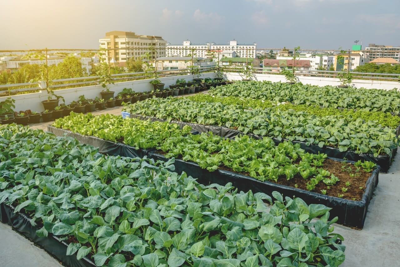 A System Creating Vibrant, Lush Sanctuaries Atop Apartment Buildings