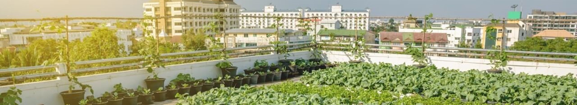 A System Creating Vibrant, Lush Sanctuaries Atop Apartment Buildings