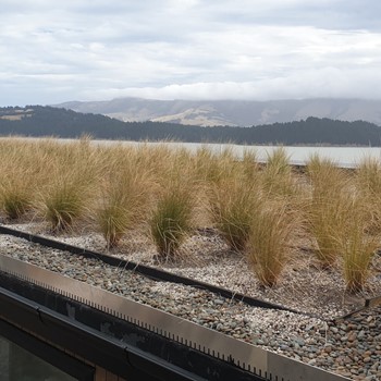 Thumb Roofgardenkent Compressed