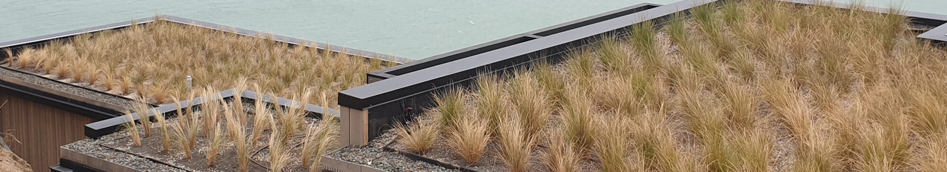 Roof Gardens for Medium Density Housing