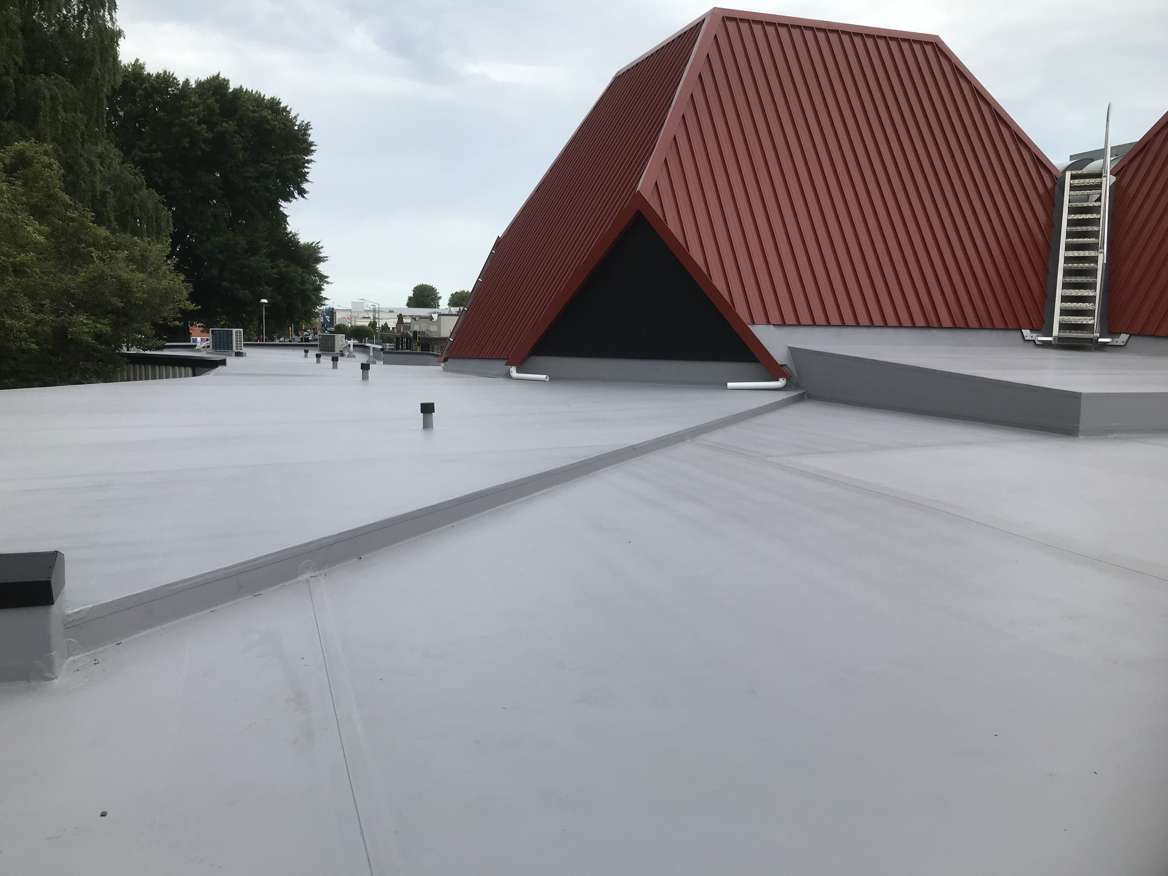 Roof Revival - Why Replace When You Can Revive?